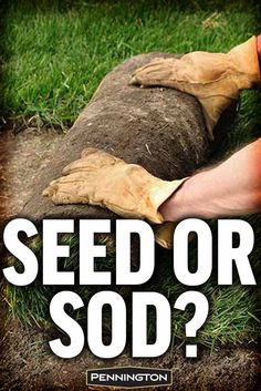 a man laying in the grass with his foot on a piece of wood that says seed or sod?