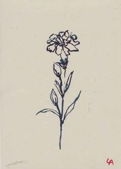 a drawing of a flower on a white background