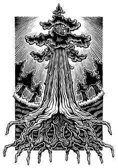 a black and white drawing of a tree in the middle of a forest with lots of roots