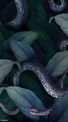 a snake is curled up on some leaves