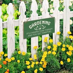 a white picket fence with yellow and orange flowers in the foreground, and a sign that says gardening it's cheap than therapy and you get tomatoes