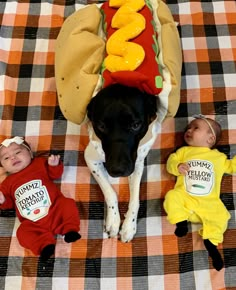 two babies and a dog are laying on a checkered blanket with hotdogs