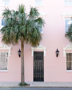 a palm tree in front of a pink building with two black doors and three windows