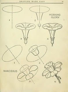 an old book with drawings and diagrams on the pages, including flowers in vases