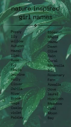 the names of nature inspired girl names on a green leafy plant with water droplets