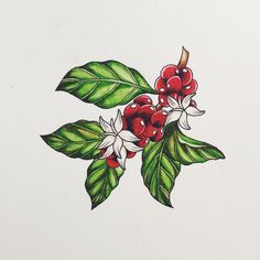 a drawing of some red berries and green leaves