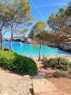 people are swimming in the blue water near trees and bushes on a sunny day with clear skies