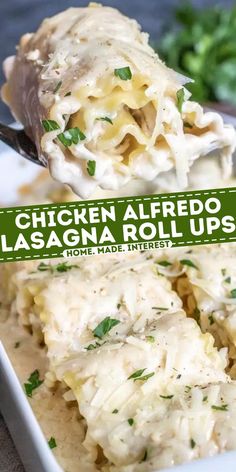 chicken alfredo lasagna roll ups on a white plate with a green label over the top