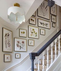 a staircase with pictures on the wall above it and below is a chandelier