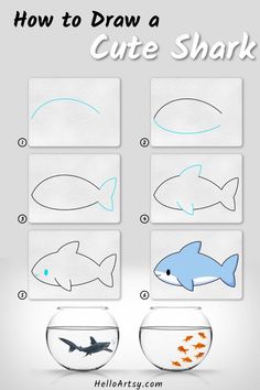 how to draw a cute shark in different stages of its life, including fish and other things