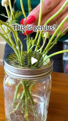 Jeff and Lauren on Instagram: "💐 We love this simple floral arranging trick! Use a fruit bag to create a stabilizing grid! #flowers #floraldesign #florist #tipsandtricks #lifehack" Economics 101, Diy Vases, Avant Garden, Fruit Bag, Floral Arranging, Garden Hacks, Cut Flower Garden, Bouquet Arrangements, Flower Arranging