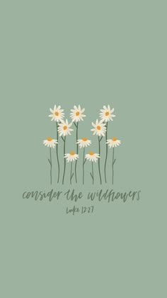 daisies with the words,'consider the wildflowers'in green and white