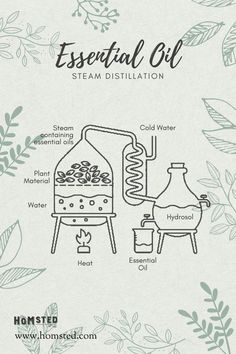 the essentials for steam distillation are shown in this graphic above it