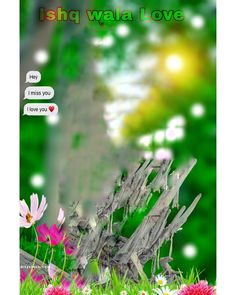 an image of flowers and grass with the text ish waa love