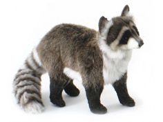 a stuffed raccoon is standing on a white surface and looking at the camera