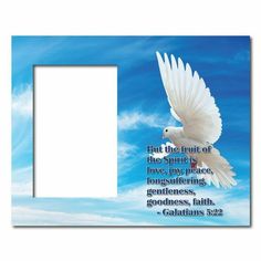 a white dove flying in the sky with a bible verse on it's side