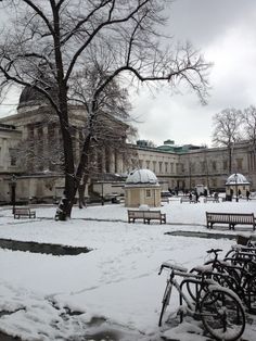 snow covers benches and trees in front of a building