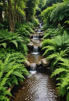 a stream running through a lush green forest filled with lots of trees and plants on either side of it