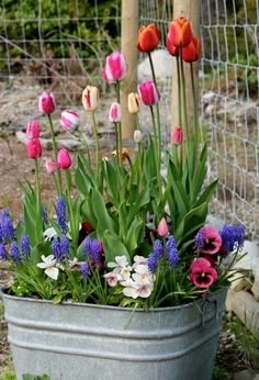 a bucket filled with lots of flowers next to a fence