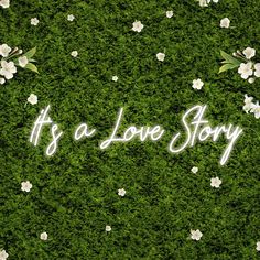 the words it's a love story written in white letters on top of green grass