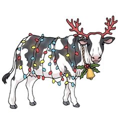 a cow with christmas lights on it's neck and bell in its mouth, standing next to a white background