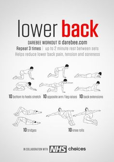 the lower back workout poster shows how to do it