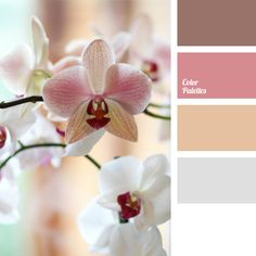 the color scheme is pink, brown and white with orchids in it's center