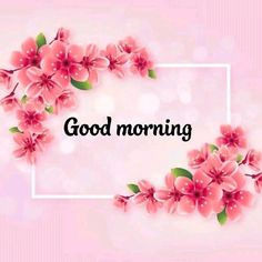 pink flowers with the words good morning written in black lettering on a light pink background