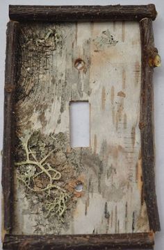 an old light switch plate cover with peeling paint and tree branches in the middle, on a white background