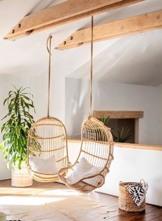 two hanging chairs in the middle of a room next to a potted plant and window