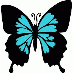 a blue butterfly with black wings on a white background