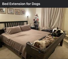 two dogs are sleeping in a bed with their owners on the other side and one dog is laying down