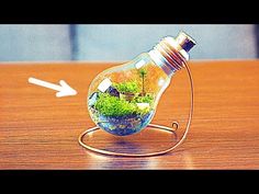 a light bulb filled with plants on top of a wooden table next to an arrow