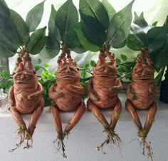 four little frog figurines sitting next to each other on a window sill