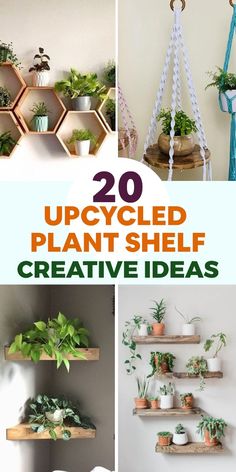 some shelves with plants on them and the words 20 upcycled plant shelf creative ideas