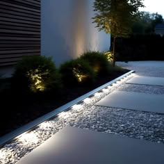 an outdoor area with some lights on the ground and trees in the backround