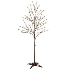 a tall tree with white lights on it's branches in front of a white background