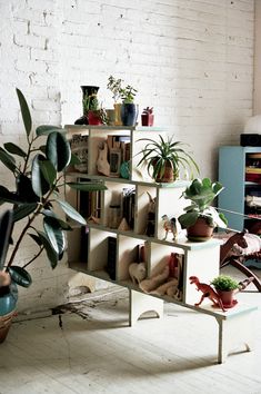 there is a plant in the corner of this room and it's shelves are filled with plants