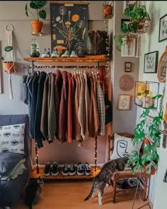 a cat standing in front of a closet filled with shoes and sweaters next to a plant