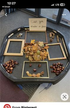 a table with pictures and leaves on it that says, can you make a frame?