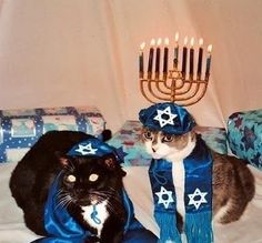 two cats are sitting on a bed with a menorah hat and scarf around their necks