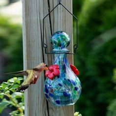 Let a soft glow of light encircle part of your hummingbird sanctuary with this Echo Valley Saturn LunaLite Vase Hummingbird Feeder. Blown glass vessel with extended neck and varied blue hues creates the feeder. Dual, red rubber feeding flowers allow birds to dine. Reservoir holds 16 ounces of nectar easily. Circular top stopper keeps insects out of the nectar. Sealed, integrated white LED in the base illuminates at night. Rechargeable button cell battery on the base ensures the light remains fun Hummingbird Sanctuary, Red Hummingbird, Glass Hummingbird Feeders, Hummingbird Feeder, Green Animals, Humming Bird Feeders, Metal Hangers, Hanging Wire, Glass Vessel