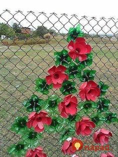 a bunch of red flowers sitting on top of a grass covered field next to a chain link fence