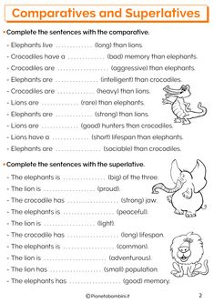 the worksheet for comparing different types of animals