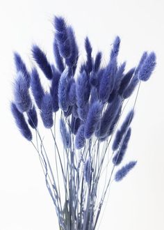 purple flowers are in a glass vase on a table top, against a white background