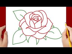 two hands drawing a rose with colored pencils on a white board, one hand is holding a marker and the other hand is pointing at it