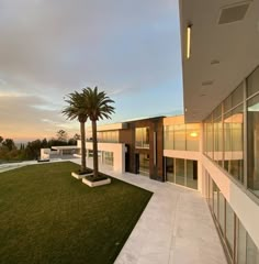 a house with grass and palm trees in front of it