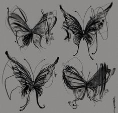 four different types of butterflies on a gray background, each with black and white ink