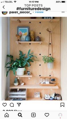 a shelf with some plants and other items on it