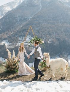 a bride and groom holding hands while walking their llama in the snow with mountains behind them